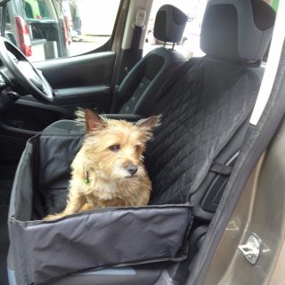 2 in 1 Dog Car Seat and Seat Protector 4