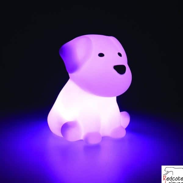 LED Rechargeable Dog Night Light